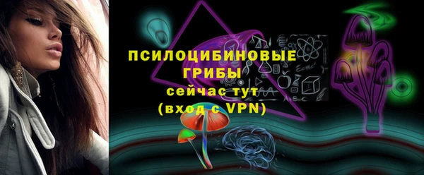 индика Богородицк