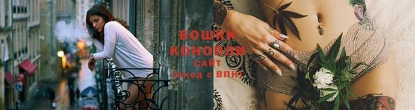 прущие грибы Бугульма