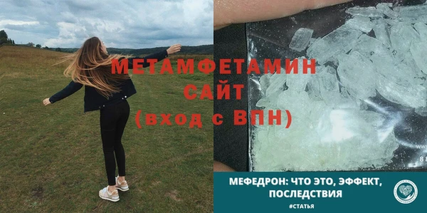 индика Богородицк