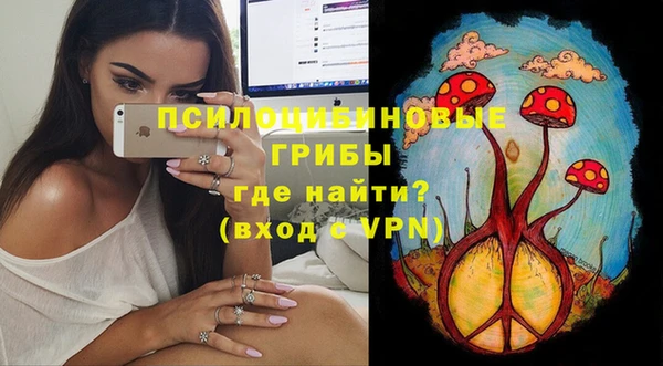 ECSTASY Бронницы