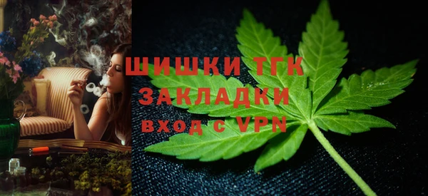 амф Сосновка