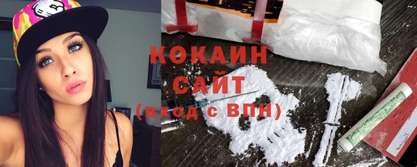 индика Богородицк