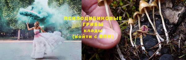 прущие грибы Бугульма