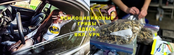 MESCALINE Богданович