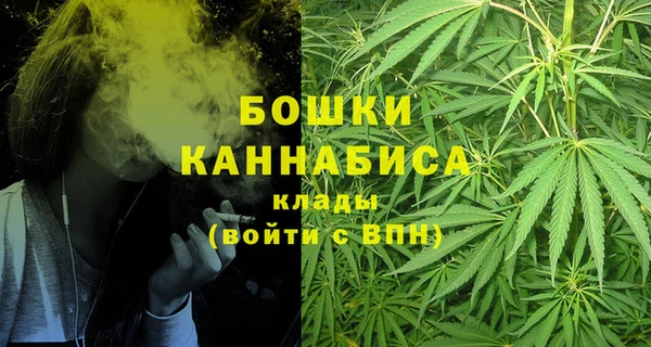 индика Богородицк