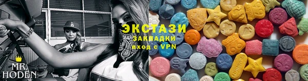 индика Богородицк