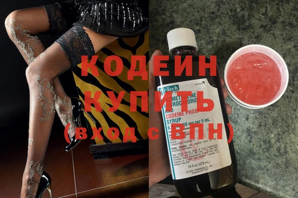 индика Богородицк