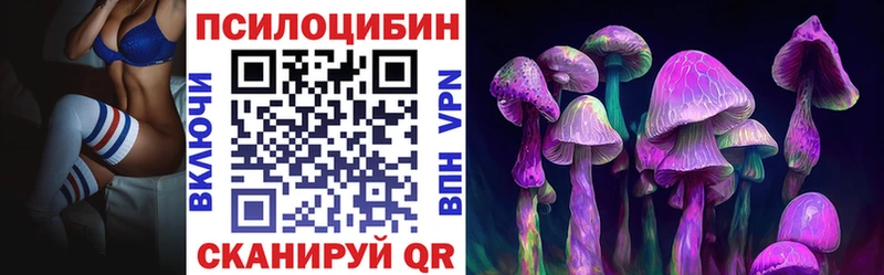 Псилоцибиновые грибы Psilocybine cubensis  Купить где  Сосенский 